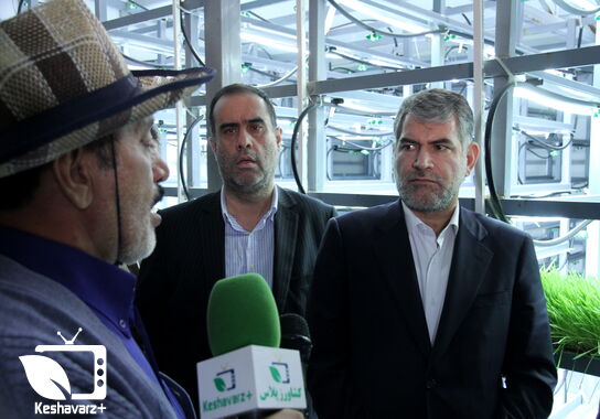گالری