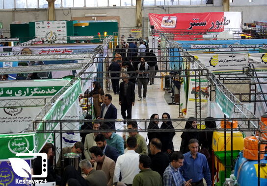گالری