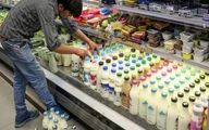 با افزایش قیمت شیر، احتمال گران شدن 50درصدی لبنیات وجود دارد