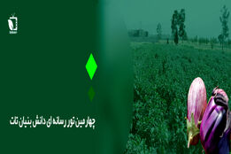 چهارمین تور رسانه ای دانش بنیان سازمان تات