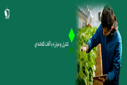 کنترل و مبارزه با آفات گلخانه ای
