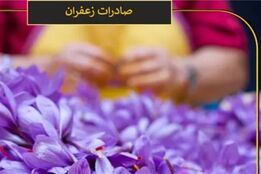 آمار عجیب صادرات زعفران ایرانی توسط افغانستان