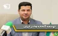 پیش بینی میشود 85 درصد برنامه امسال محقق شود