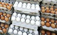 آرامش قیمت تخم مرغ در روزهای پر تنش