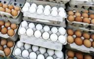 آرامش قیمت تخم مرغ در روزهای پر تنش