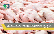 مرغ یخ زده، چالش این روزهای تولید کنندگان