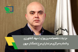 زنجیره تخم‌مرغ به بخش خصوصی واگذار شد  