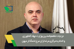 زنجیره تخم‌مرغ به بخش خصوصی واگذار شد  