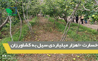 خسارت 10هزار میلیاردی سیل به کشاورزان