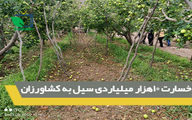 خسارت 10هزار میلیاردی سیل به کشاورزان