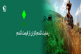 رضایت گندمکاران از قیمت خرید تضمینی
