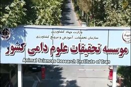 وقتی کندوها در اروپا هوشمند می‌شوند و ما همچنان در خوابیم!