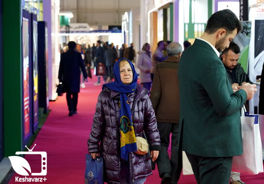 گالری