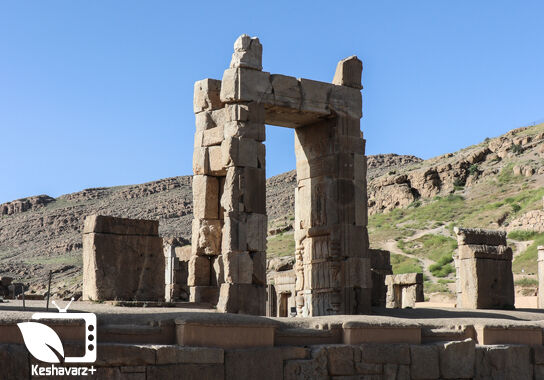 گالری