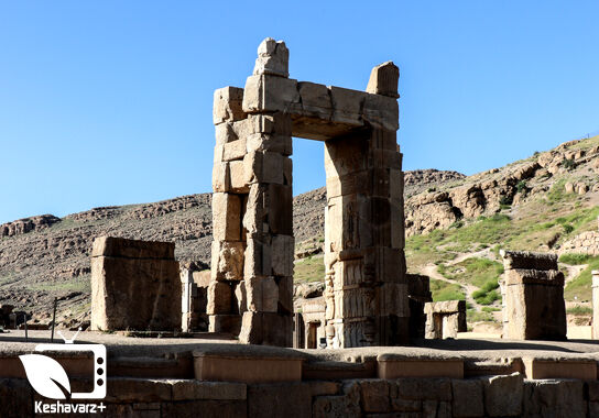 گالری