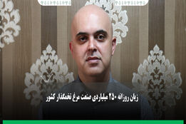 زیان روزانه ۲۵۰ میلیاردی صنعت مرغ تخمگذار کشور