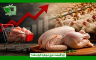 افزایش دوباره قیمت مرغ در بازار؛ نهاده‌های دامی و کاهش تولید در صدر عوامل گرانی
