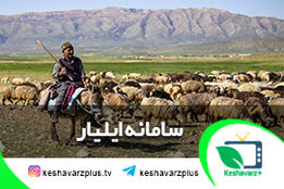 رونمایی از سامانه ایلیار عشایر