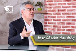 بررسی آخرین وضعیت تولید و صادرات خرما