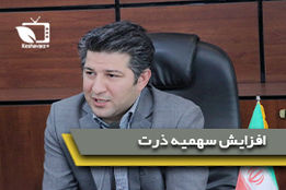 افزایش سهمیه ذرت برای مرغ تخم گذار