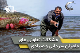 اتاق تعاون ایران چرا با تعاونی های شیلات همکاری نمیکند؟