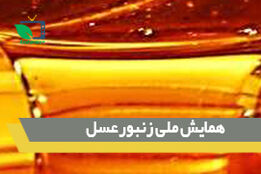 اولین همایش ملی زنبور عسل و صنایع وابسته 