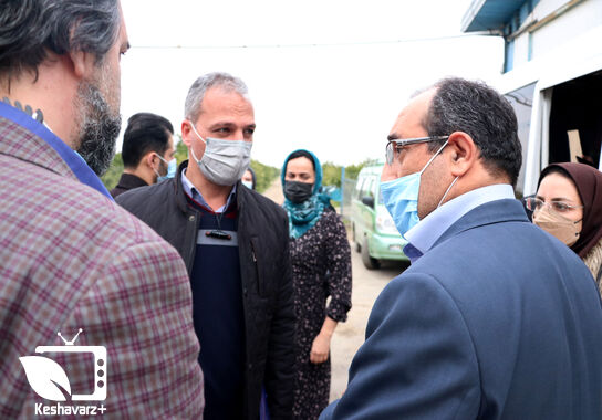 گالری