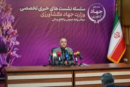 انتقاد صریح معاون زراعت از ارز ۲۸۵۰۰؛ کشاورزان سهمی نبردند