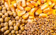 مصوبه استمهال چک مرغداران بابت نهاده های دامی ابلاغ شد