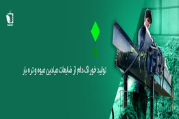 تولید خوراک دام از ضایعات میدان میوه و تره بار