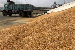 وقتی اعتماد، نهاده‌ای کمیاب می‌شود؛ نامه‌ای که زنگ هشدار بازار کالاهای اساسی را به صدا درآورد