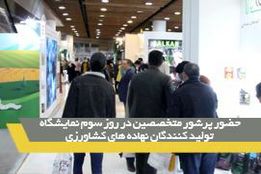 حضور پرشور متخصصین در روز سوم