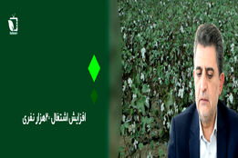 افزایش اشتغال 20 هزار نفری در کشاورزی استان اردبیل 