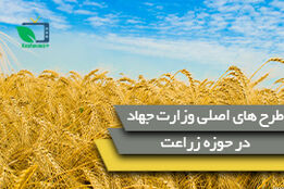 کشاورزی قراردادی" و "جهش تولید در دیمزارها"