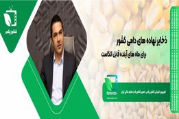 ذخایر نهاده‌های دامی کشور برای ماه‌های آینده قابل اتکاست