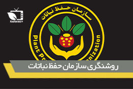 روشنگری سازمان حفظ نباتات در رابطه با ماجرای فلفل های صادراتی