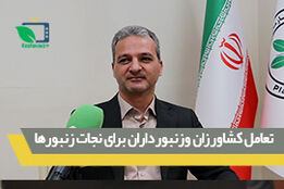 تعامل کشاورزان وزنبورداران برای نجات زنبورها
