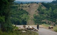 طبیعت زیبای داماش گیلان