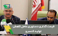 قیمت گذاری دستوری عامل کاهش تولید کنسرو