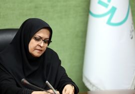 چراغ سبز استاندارد به بازار