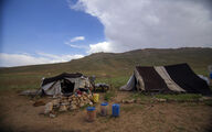 رئیس مجلس: دولت اگر بخواهد سازمان امور عشایر را ادغام کند باید به مجلس لایحه دهد