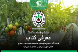 معرفی کتاب 