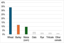 یک کتاب آشپزی برای آوردن محصولات کمتر استفاده‌شده به آشپزخانه
